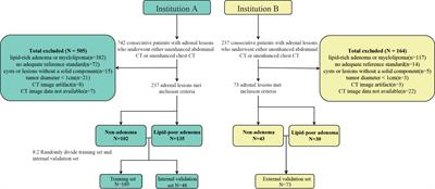 A modified method for CT radiomics region-of-interest segmentation in adrenal lipid-poor adenomas: a two-institution comparative study